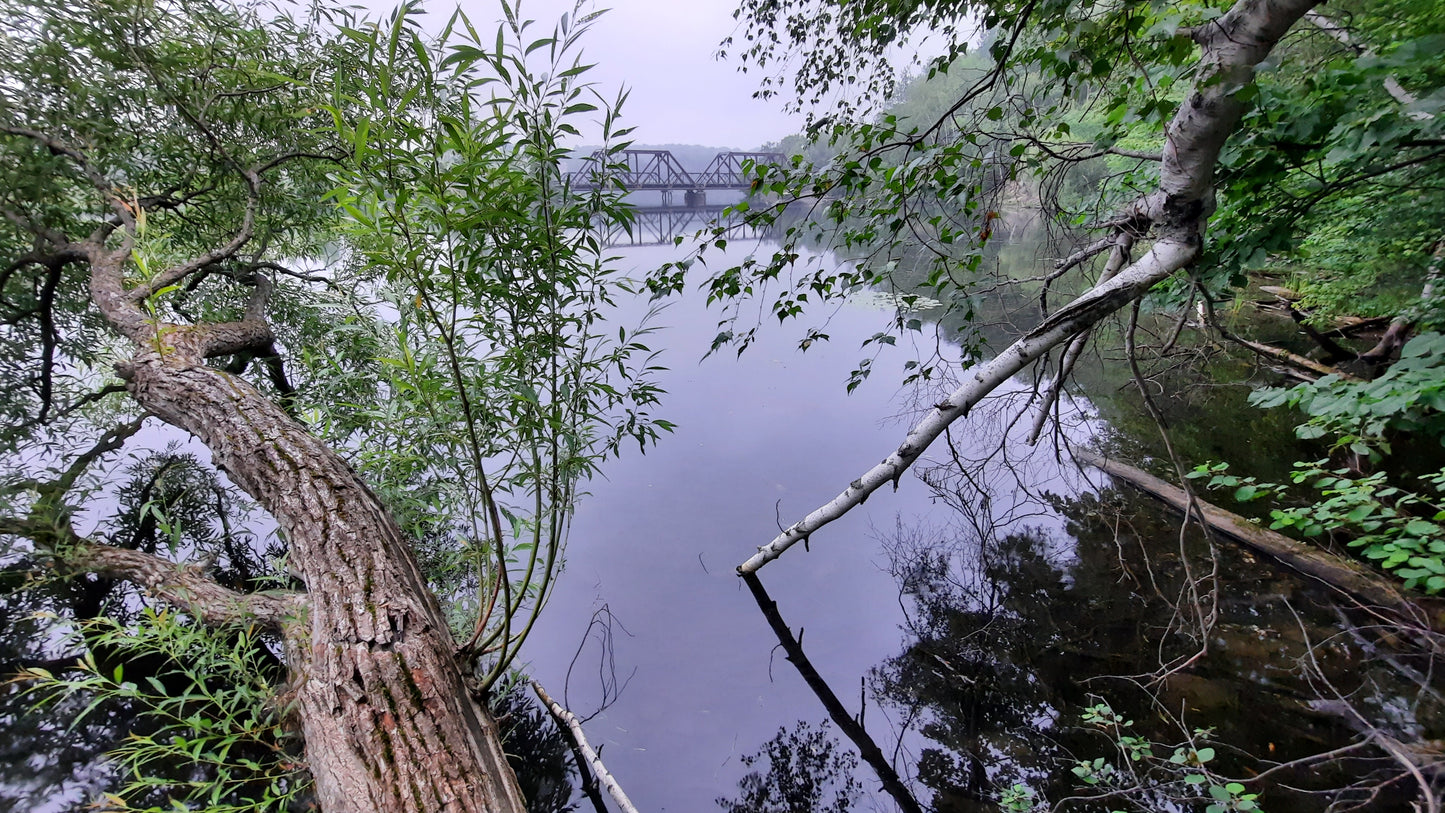 TROUVE le Pont Noir de Sherbrooke 21 JUILLET 2021 (Vue PC2) réflexion pluie arbres