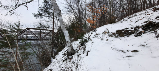 Nieve 2021-11-27 15:12 Sherbrooke (Vista 2.3) mi bolso se ha perdido para siempre...