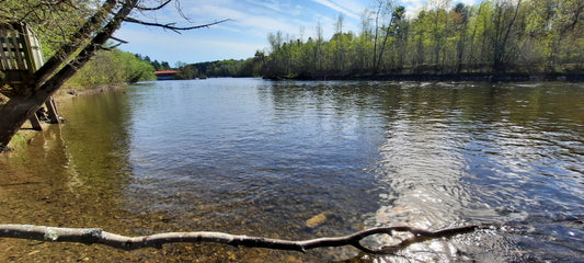 Une baignade dans la rivière Magog un 13 mai à Sherbrooke. (Vue PSS2)