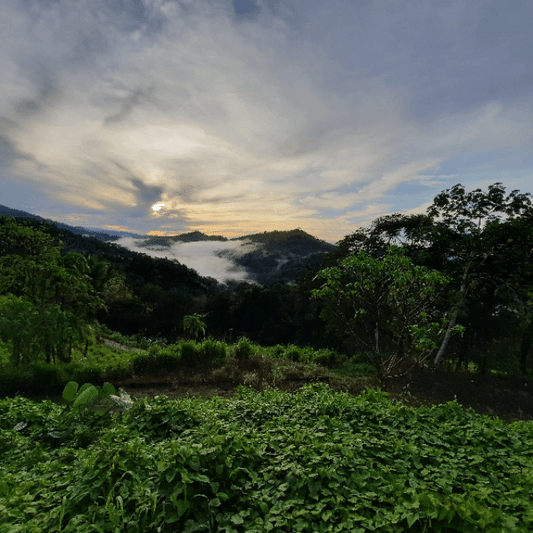 16A - Mirador Río Claro (Costa Rica)