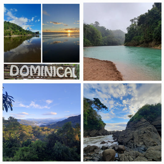 Découvrez Dominical (Fleuve, Mer, Montagnes et Cascades)