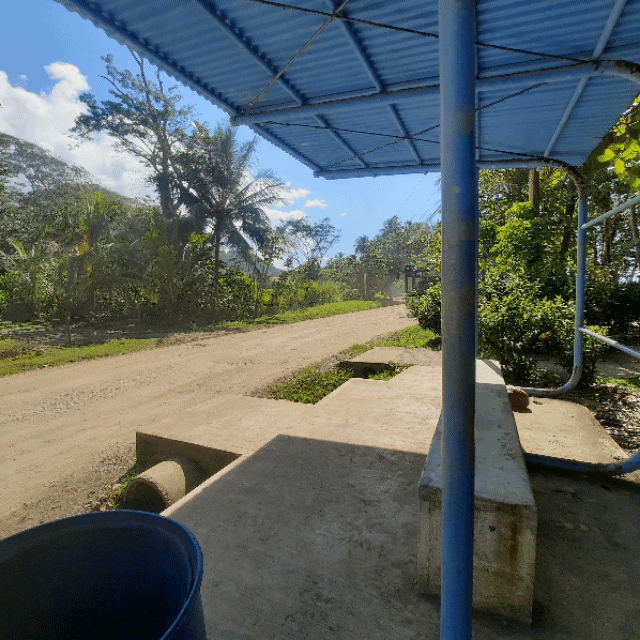 Autobus Dominical - Quepos
