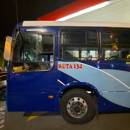 Autobus San Isidro - Rivas